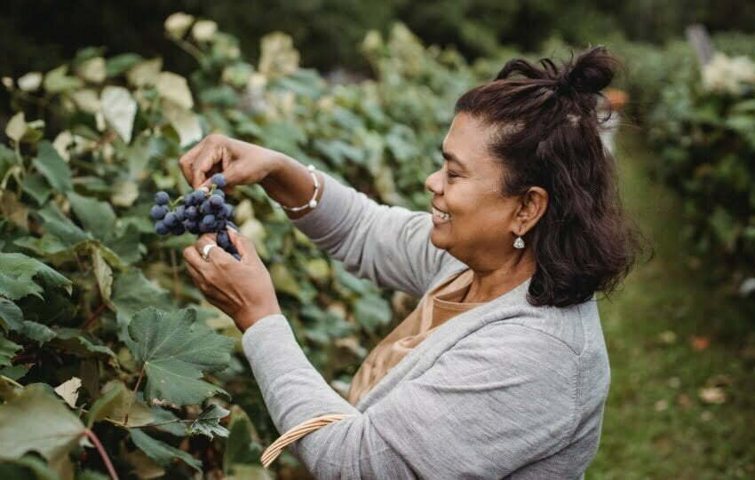 Um 75% af Malbec-framleiðslu heimsins er að finna í Argentínu.