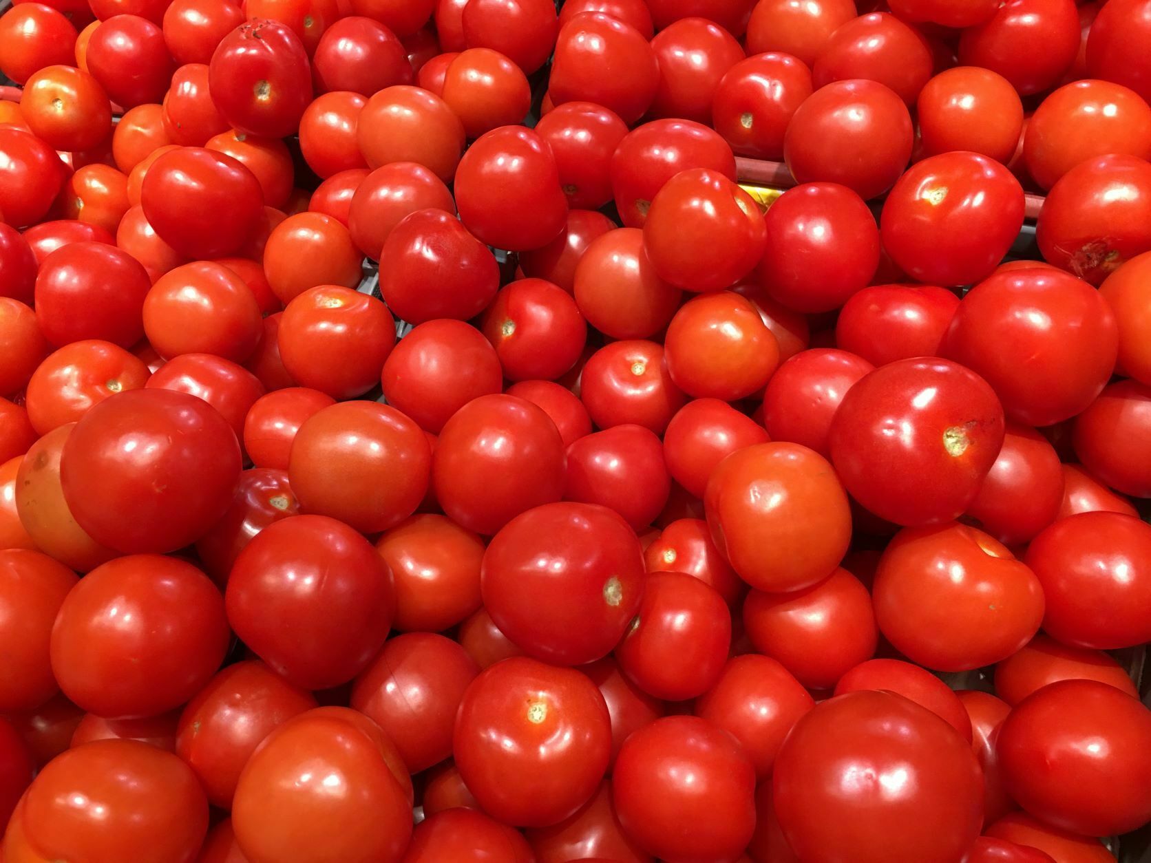 Grænmetiskassi #47 - Image 8