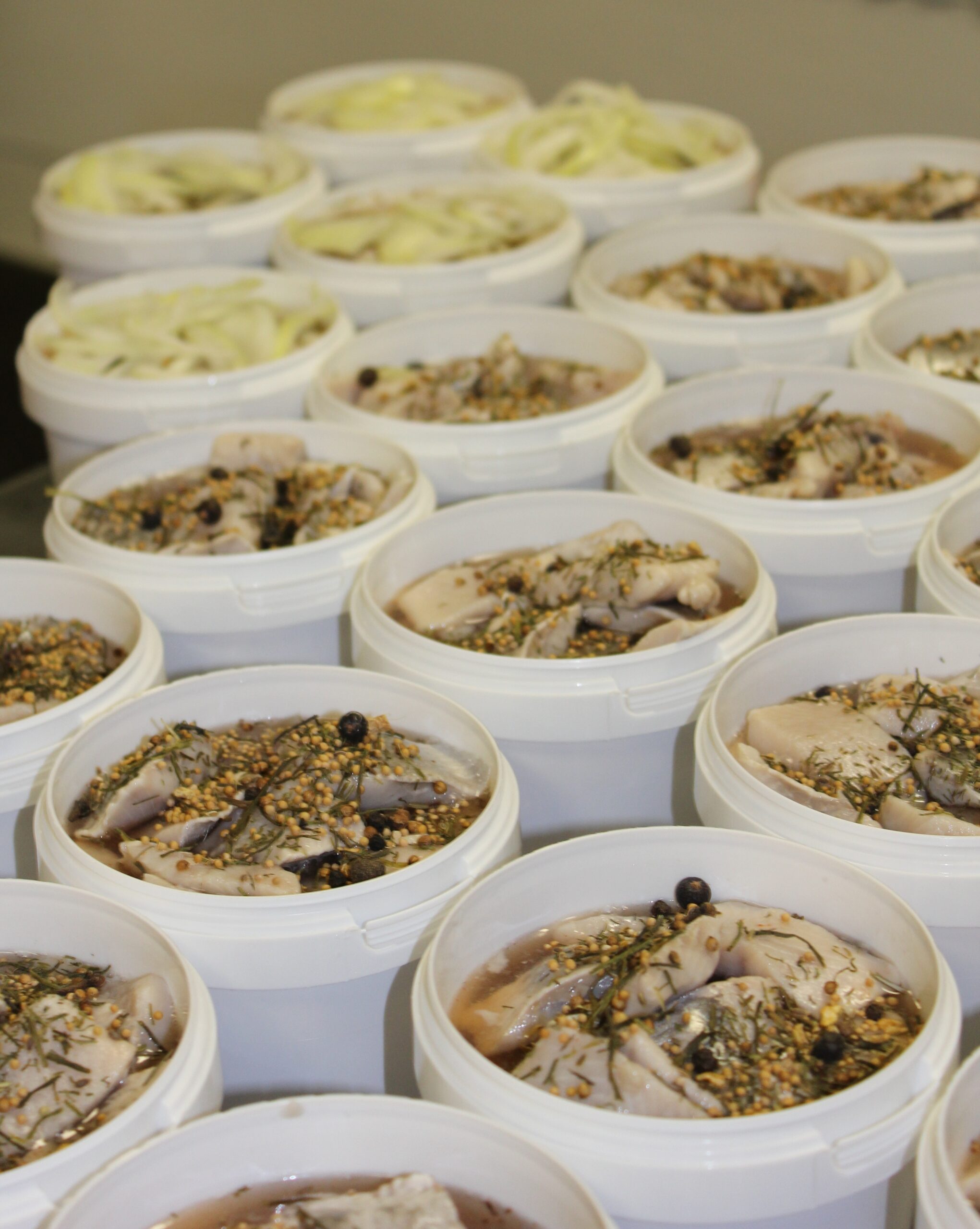 Marineruð síld frá Djúpavogi - Image 2