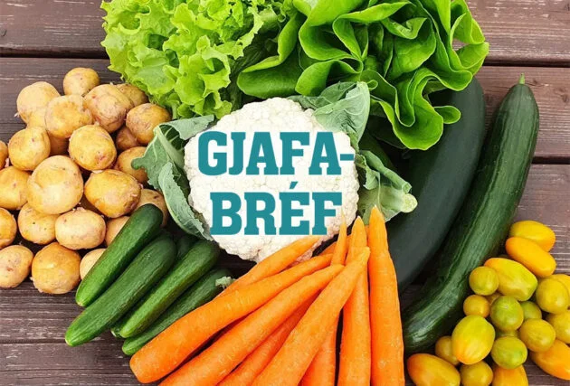 Grænmetisskassi gjafabréf