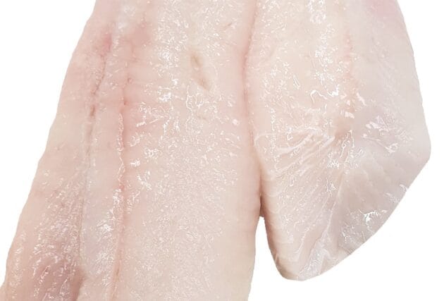 Smálúðuflök frá Sjávarbúrinu - 1 kg