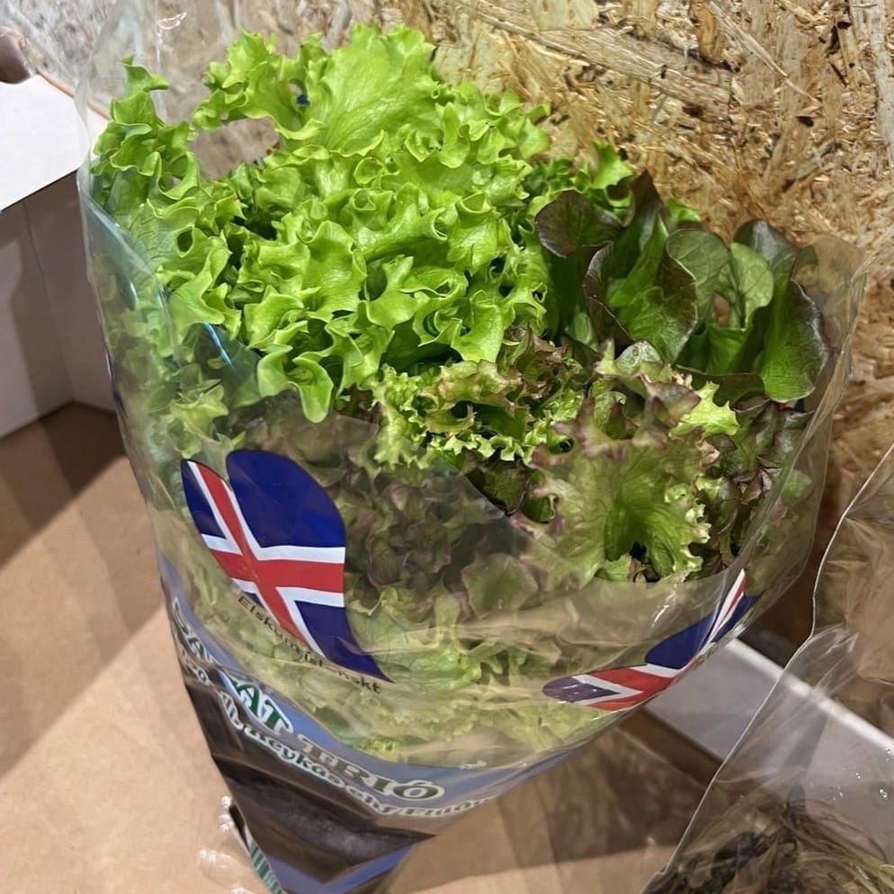 Grænmetiskassi #46 - Image 3