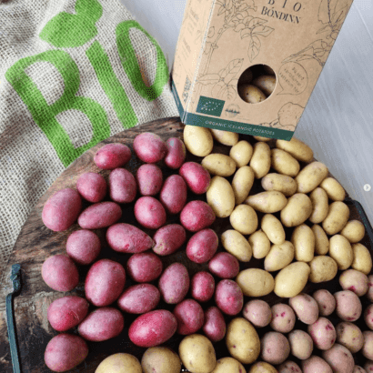 Lífrænar kartöflur frá Biobóndanum - 2 x 1 kg
