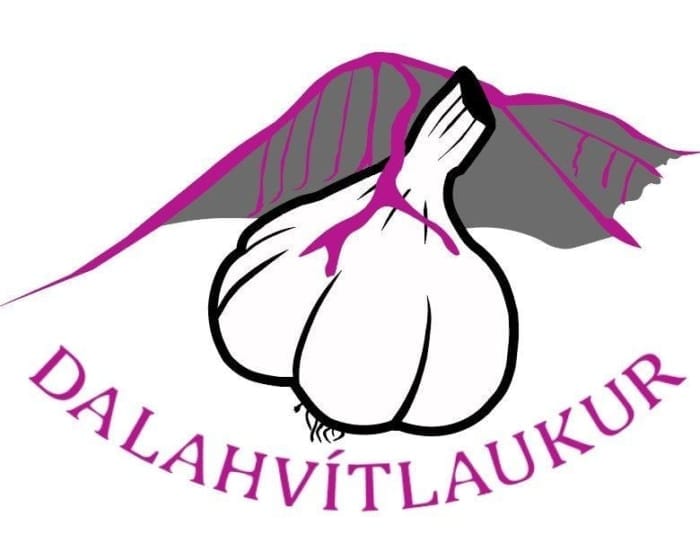 Flögusaltið Skjöldur frá Dalahvítlauk - Image 4