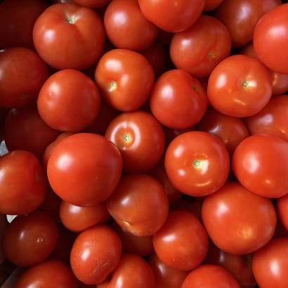 Tómatar frá Hveravöllum - 6 stk.