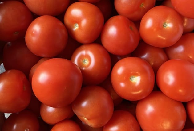 Tómatar frá Hveravöllum - 6 stk.