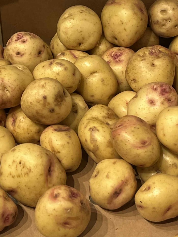 Gullauga frá Böðmóðsstöðum - 2 kg
