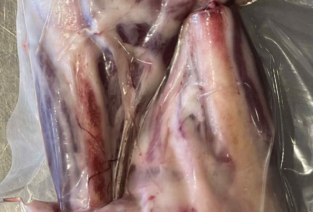 Lambaskankar frá Böðmóðsstöðum - 2 stk.