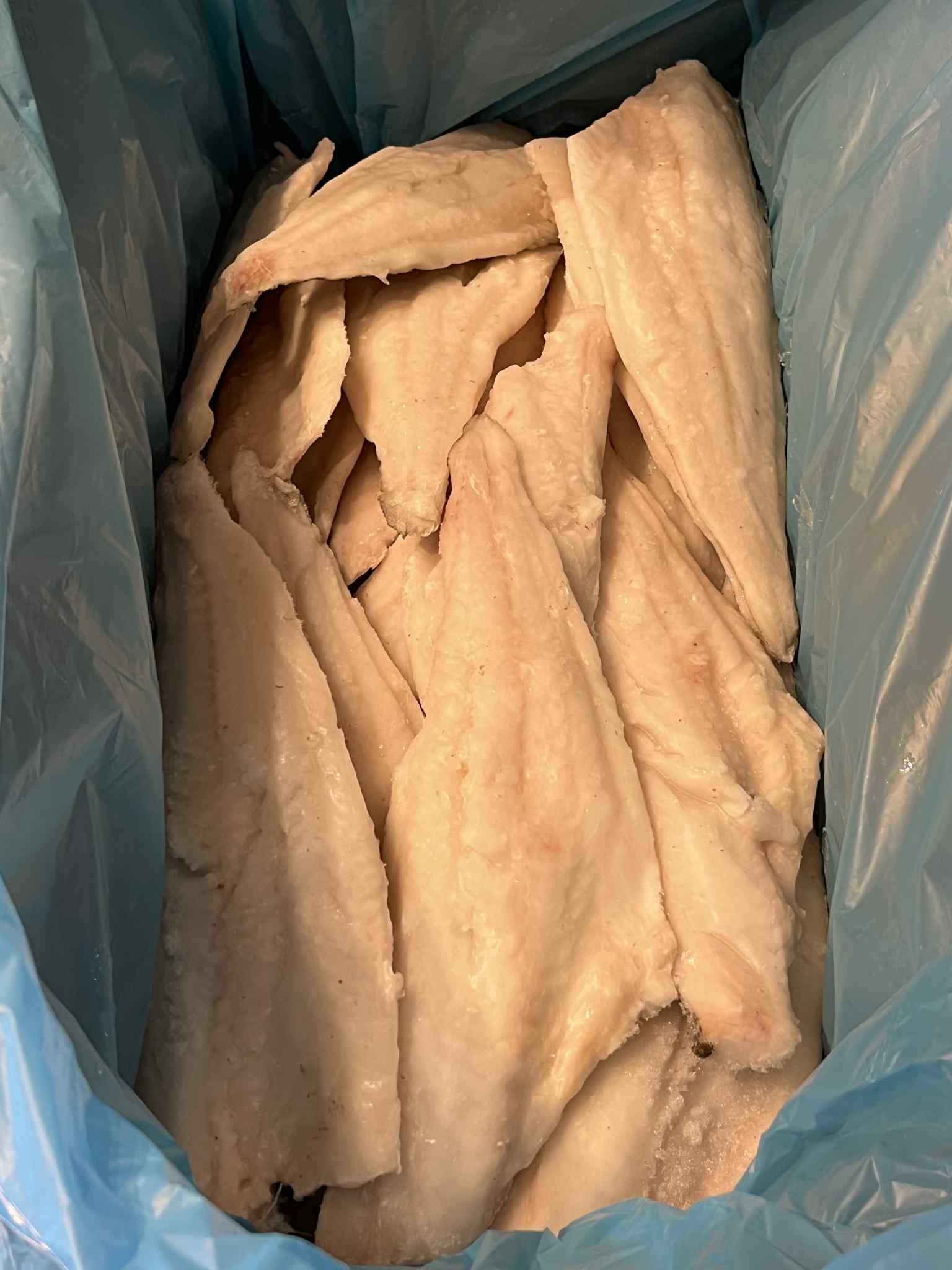 Ýsuflök með roði og beini - 10 kg - Image 4