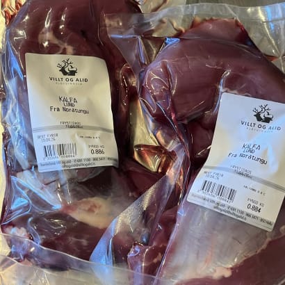 Kálfalund frá Norðtungu