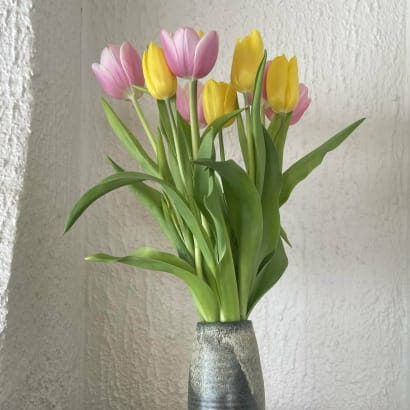 Túlipanar frá Stykkishólmi - gulir og bleikir