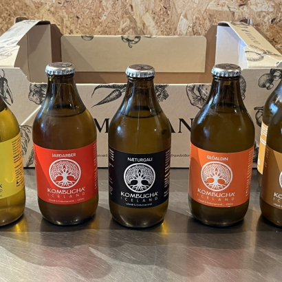 Kombucha - 6 flöskur í kippu - blandaðar bragðtegundir