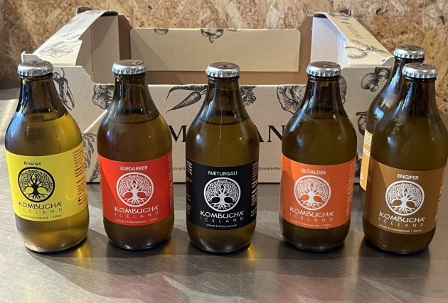 Kombucha - 6 flöskur í kippu - blandaðar bragðtegundir