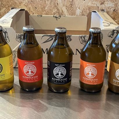 Kombucha - 6 flöskur í kippu - blandaðar bragðtegundir